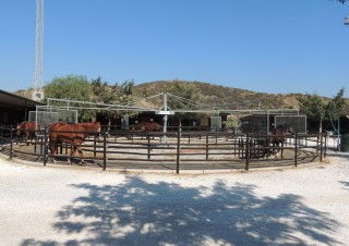 picadero