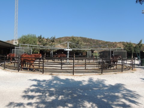 picadero