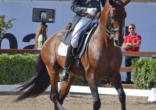 campeonato de españa