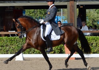 campeonato de españa
