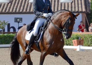 campeonato de españa