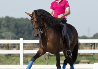 entrenando con Grandioso