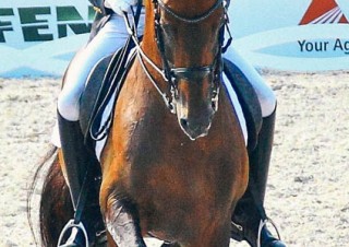 Aachen2015_19