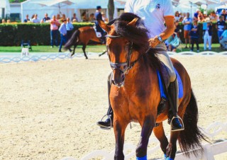 Aachen2015_25